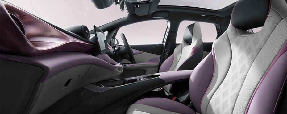 BYD Dolphin Vegan Leather Seats